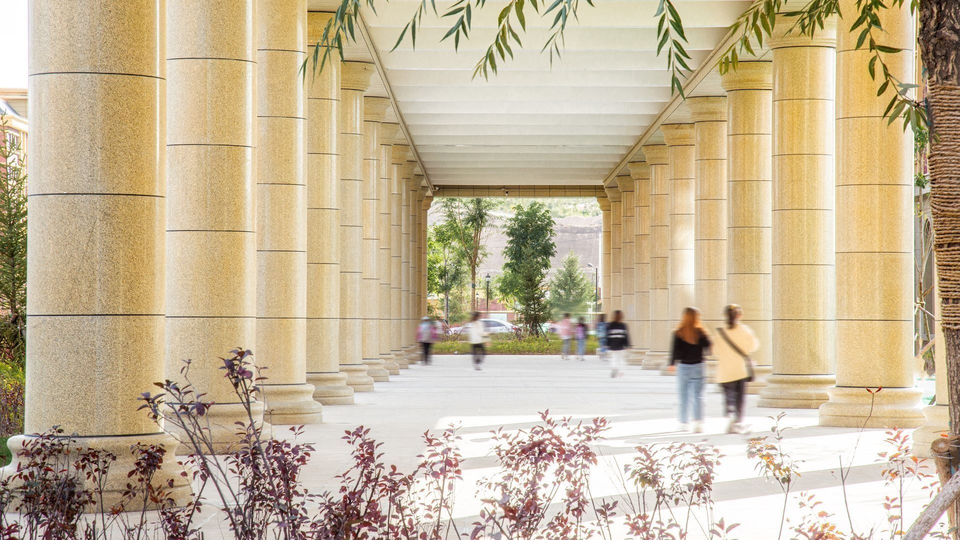 关于做好2026年甘肃省普通高校招生统一考试报名工作的通知